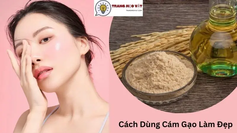 Cách Dùng Cám Gạo Làm Đẹp An Toàn