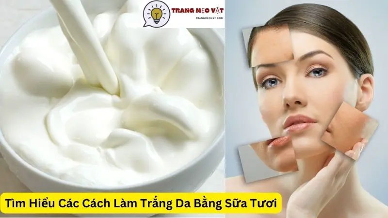 Tìm Hiểu Các Cách Làm Trắng Da Bằng Sữa Tươi