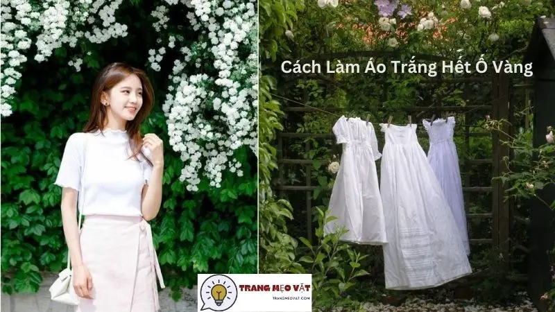 Cách Làm Áo Trắng Hết Ố Vàng