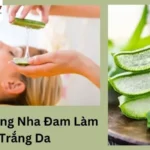 Cách Dùng Nha Đam Làm Trắng Da