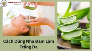 Cách Dùng Nha Đam Làm Trắng Da