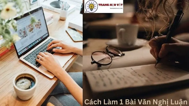 Cách Làm 1 Bài Văn Nghị Luận