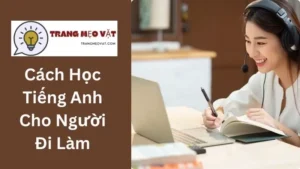 Cách Học Tiếng Anh Cho Người Đi Làm