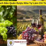 Cách Bảo Quản Rượu Nho Tự Làm Chi Tiết